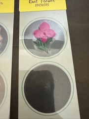 Lot Of 8 REAL Pressed Flowers Stickers Vintage Victorias Garden Scrapbook-22