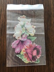 Paper Reflections 8 Vellum Die Cuts “Flowers” Stickers