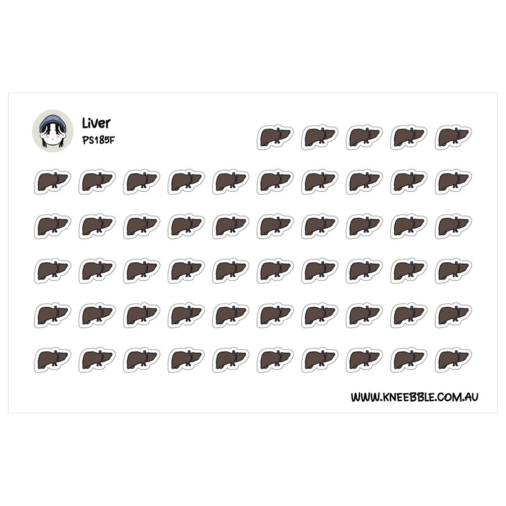 Liver Health Planner Stickers – Organ Health Tracker for Wellness Goals