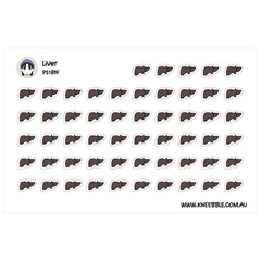 Liver Health Planner Stickers – Organ Health Tracker for Wellness Goals