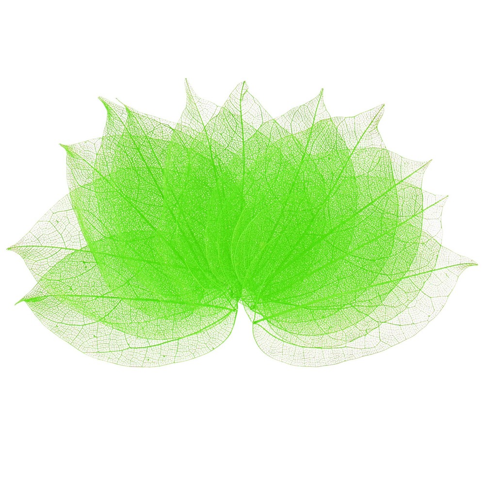 100-Pack Skeleton Leaves, Natural Rubber Tree Leaves Vein[7-9cm, Green]