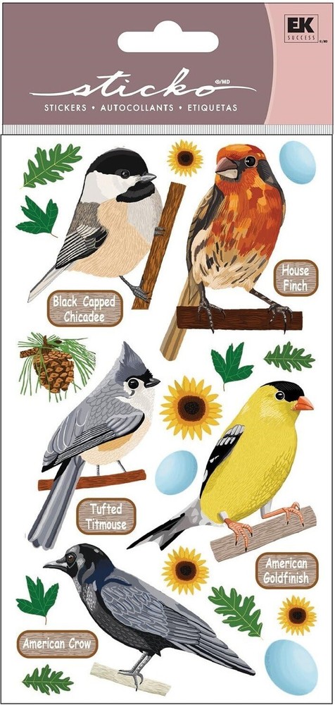 Top U.S. Birds, 4×7″ scrapbook stickers Sticko 52-01087