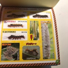 Japanese Caterpillar Stickers book 250 Stickers Shogakkan NEO