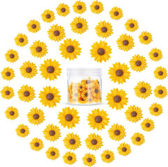 50 Pcs Flatback Resin Daisy Flowers Daisy Flower Epoxy Beads Charms Mini Decorat