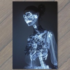 STICKER Fashionable Skeleton X-ray image stylish dress fashion anatomy xray