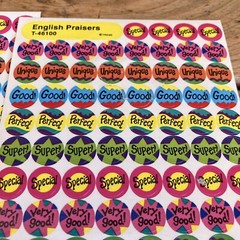 Vintage Trend SuperSpots Stickers 2 Sheets T-46100 English Praises