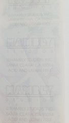 HAMBLY STUDIOS STICKERS PRISMATIC BUG DRAGONFLY CATERPILLAR BEE LADYBUG VINTAGE