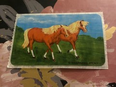 Smile Makers Brown Horses Sticker Module 2×4 Inches