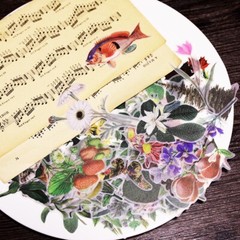 50pcs/Pack leaves stickers leaf plant and animal vellum stickers T03