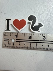 13Pcs Cartoon Squirrel Stickers, Waterproof, Love For Squirrels – New – Gift