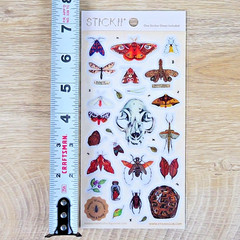 Nature Study Stickers – Animal Skull, Moths, & Insects Sticker Sheet