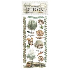 Stamperia Rub-Ons- Herbarium Silvae Forest, DFLRB213