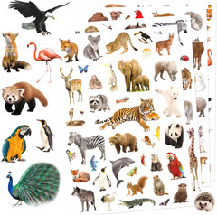 Wild Animals Stickers 750 Count Jungle Safari Woodland Zoo Creatures