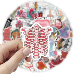 100PCS Cool Anatomy Stickers,Biology Anatomy Human Body Organ Stickers for Stude