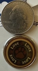 DOG Epoxy Brad(15pc)Cloud 9 •Split-pin•Bones•Furry Friend •Paws•Woof•Card Making