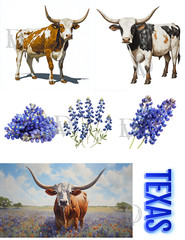 Texas Longhorns & Bluebonnets Collage Supplies Scrapbook Junk Journal Cards