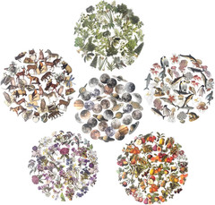 240PCS Waterproof Flowers Leaves Animals Plants Nature Stickers for Art Journali