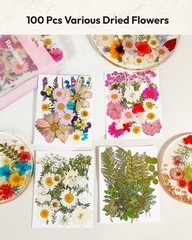 Blossom Pressed Dried Resin Flowers 100Pcs Natural Real Dried Flower Craft