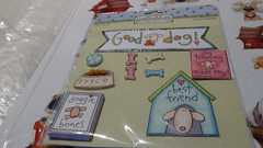 Sue Dreamer Color Book Animal Prints Stick
