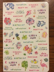 Lilly Pulitzer Two (2) Sticker Sheet Set Calendar Planner NEW College