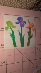 Vintage Sandylion Stickers Mother Of Pearl Iris Flowers 1 Module