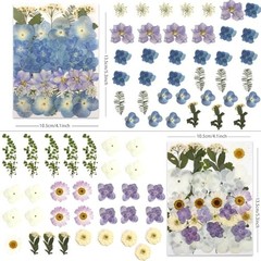 140 Pcs Dried Pressed Flowers Real Natural Blooms for Resin Art DIY Crafts Set