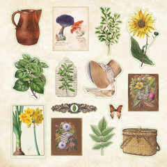 Cottagecore Sticker Book (Over 650 Stickers!)