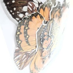 Forever in Time 33pc Butterfly Die Cuts Foil Accent Orange Scrapbook Craft NEW