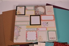 Lot of Assorted Scrapbooking Crafting Paper Patterned Solid Graphic
