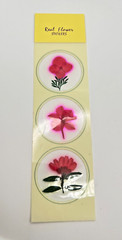 Real Pressed PINK Flowers Stickers NEW Pack NIP
