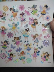 Fairies Flowers And Butterflies Sticker Sheet Craft Stickers 2 Sheets
