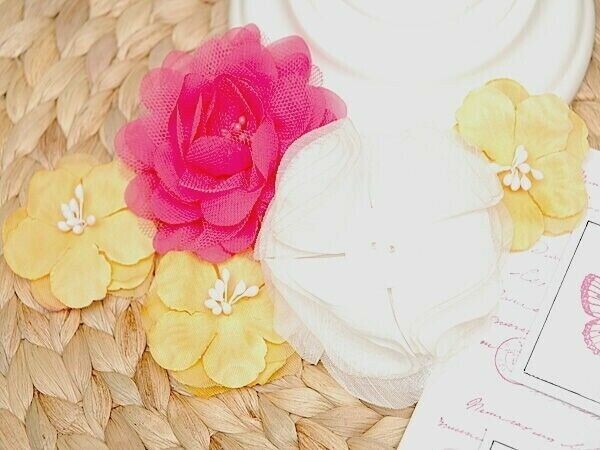 Felicity 5Pk – 3 Apricot 5cm Fuchsia & White 7cm Fabric Lace Organza Manor House