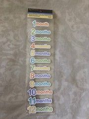 Recollections Themed Dimensional Stickers Baby Month 1-12 New in Package