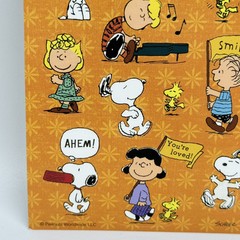 Peanuts Characters Stickers Snoopy Charlie Brown Encouragements 1 Sheet 13 Stkrs