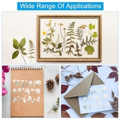 Transparent Tulips Flower Vinyl Stickers, 40 Sheet Waterproof PET Flowers