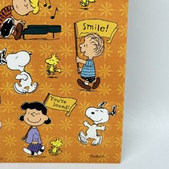 Peanuts Characters Stickers Snoopy Charlie Brown Encouragements 1 Sheet 13 Stkrs