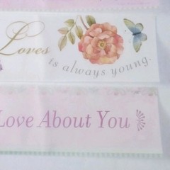 3pc Vellum Quotes 12″x2″ Non Adhesive Page Titles Embellishments Accents Lot#2